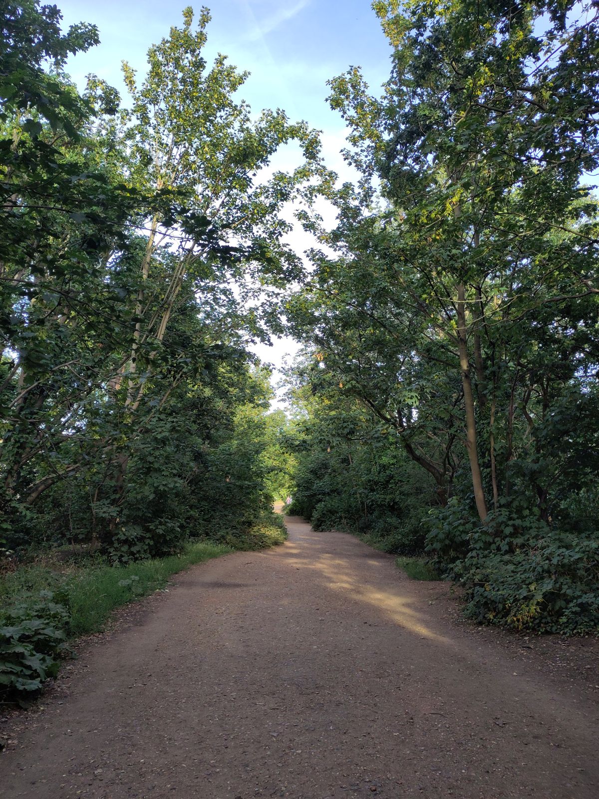 The Parkland Walk