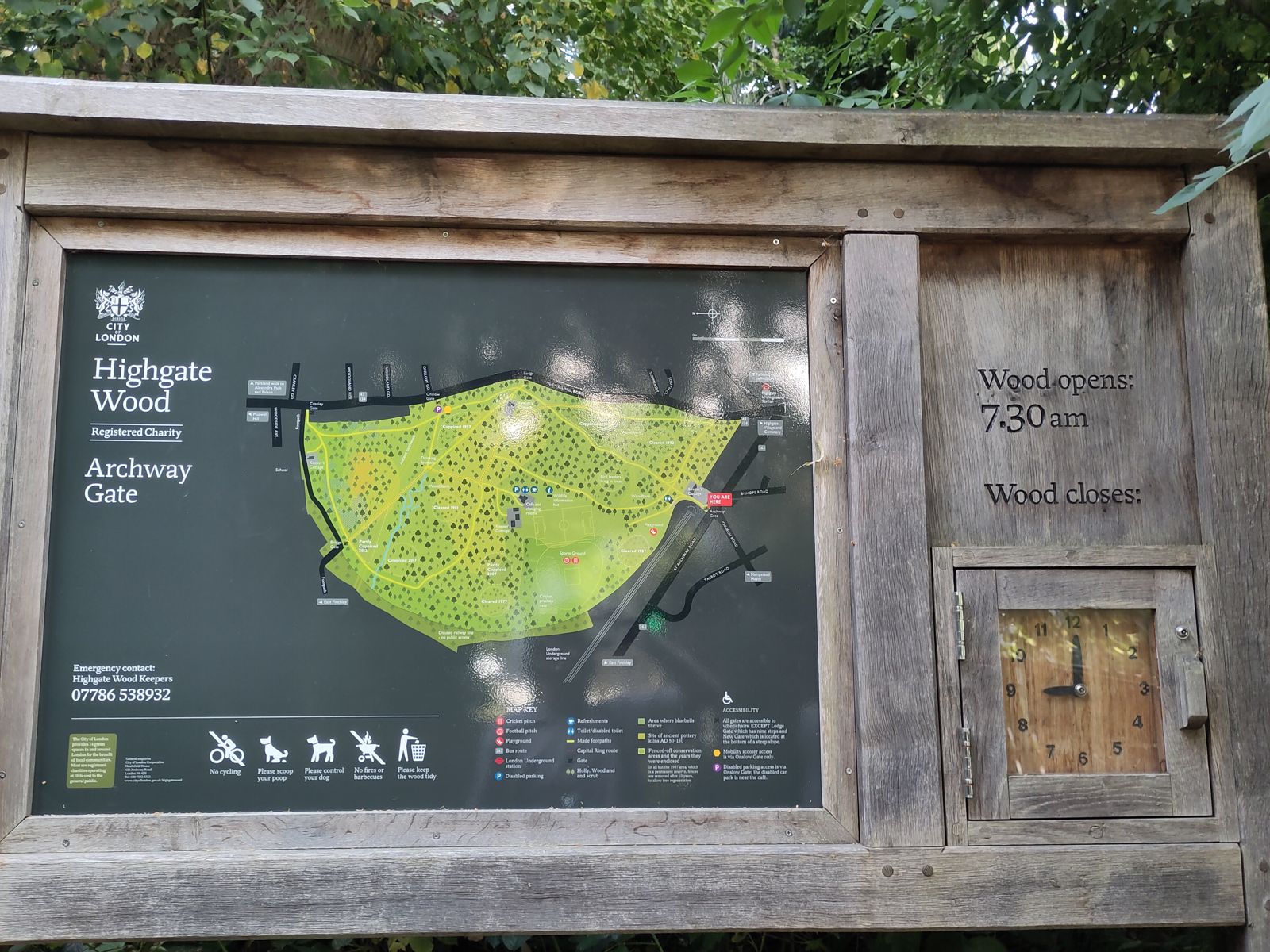 Highgate Woods
