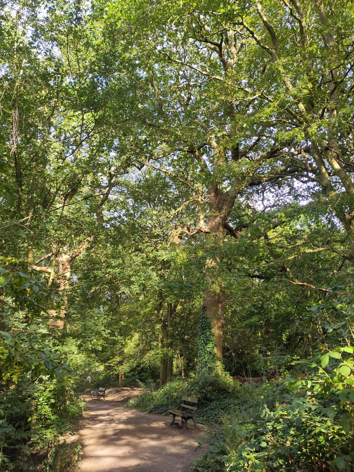 A place to rest along the walk.