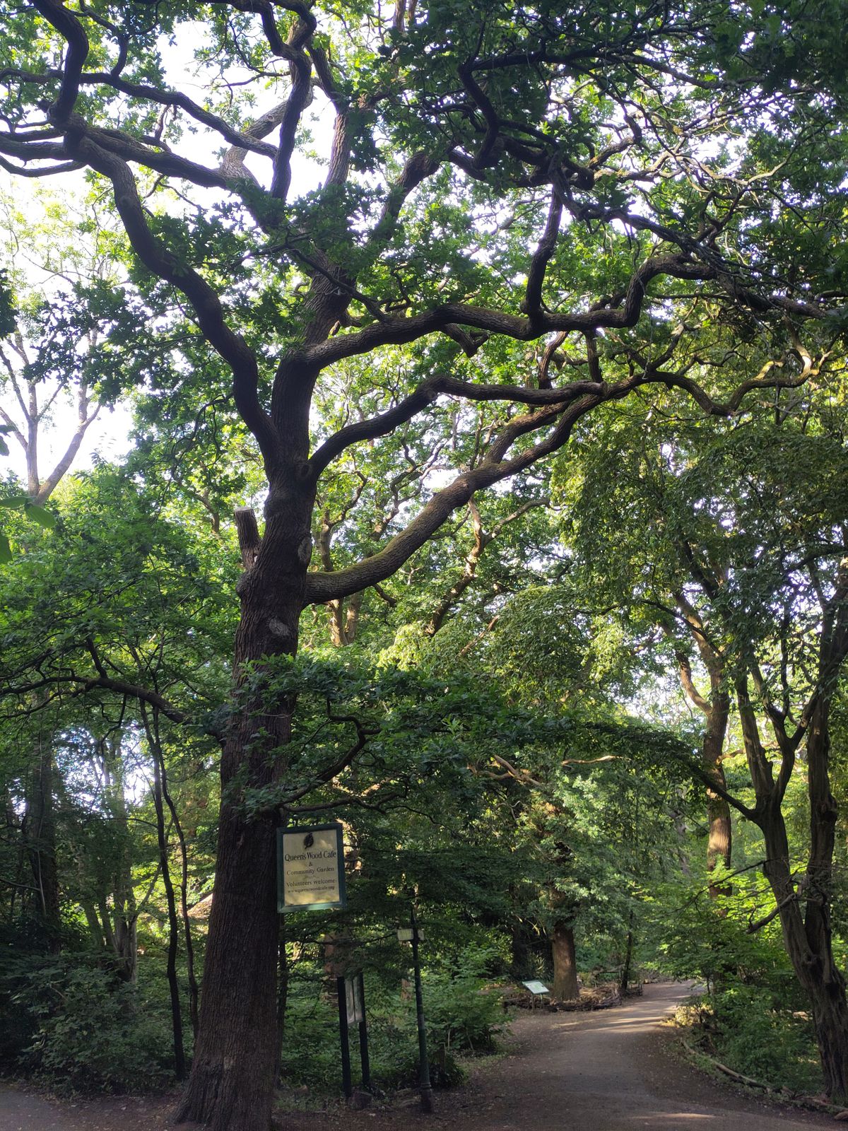 Queen's Wood Cafe