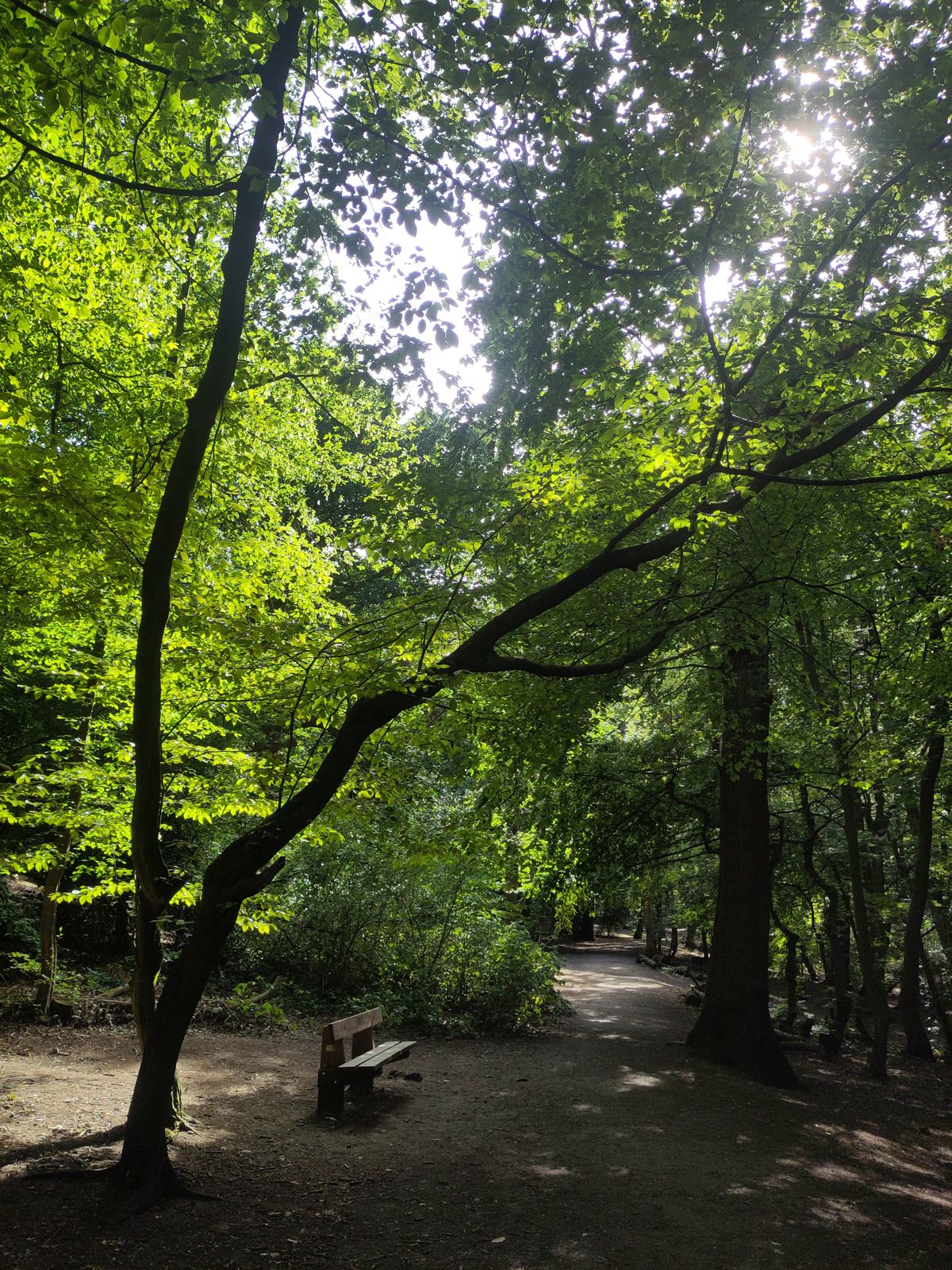 A place to rest along the walk.